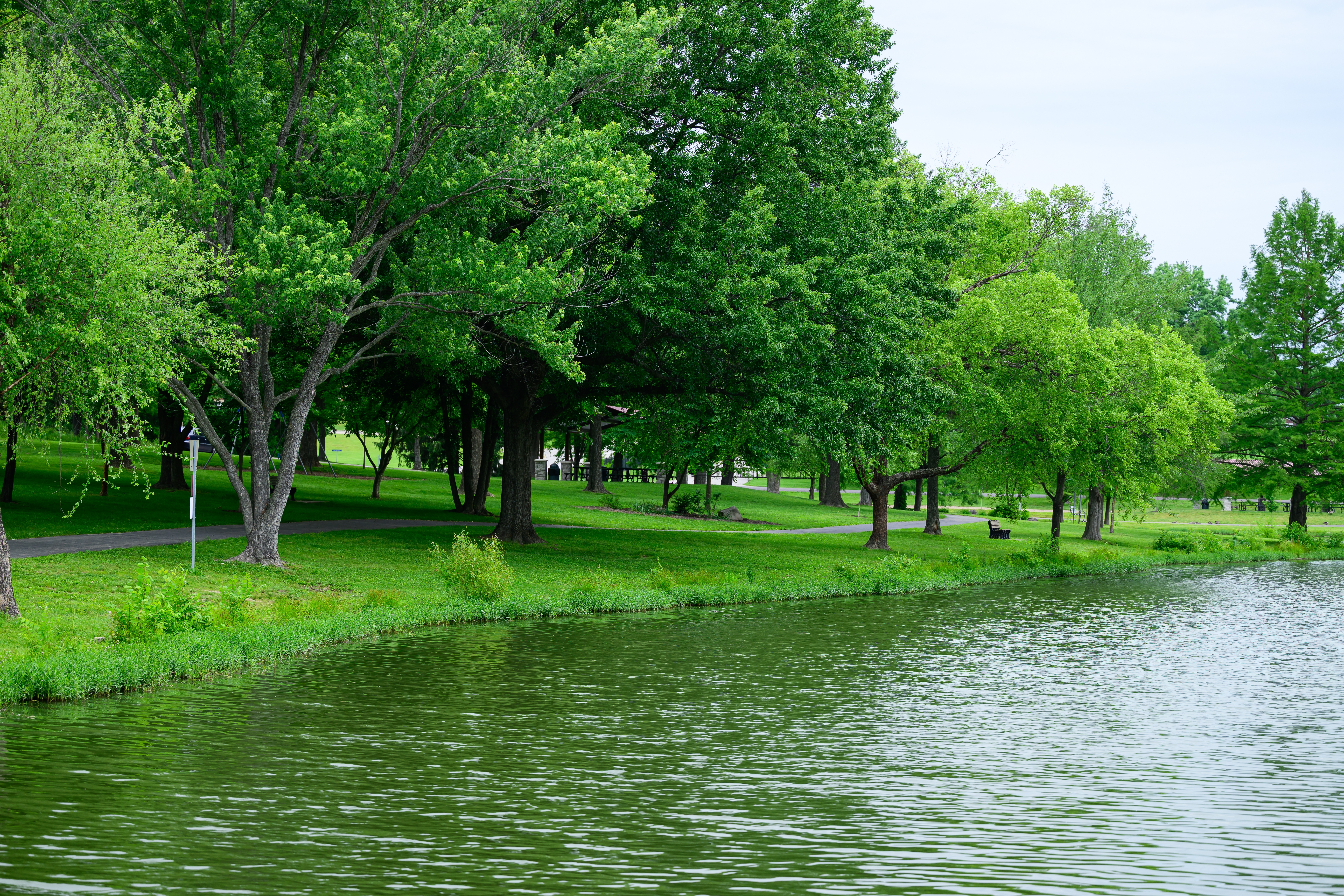 Adventure Therapy in Maryland